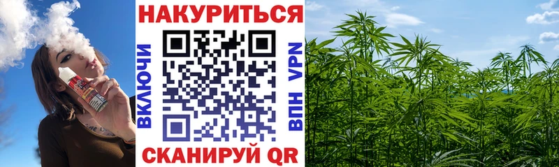 Бошки Шишки ГИДРОПОН  купить  цена  Нариманов 